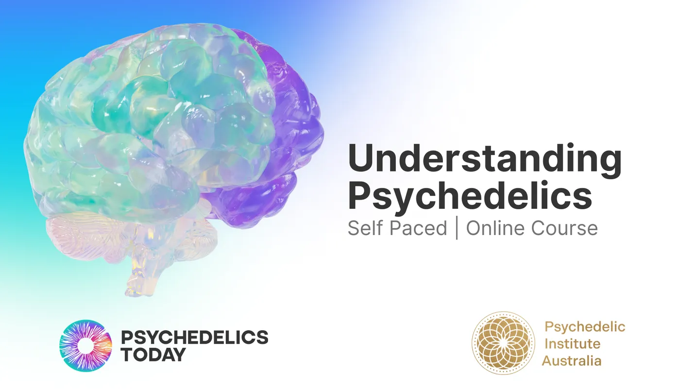 Understanding Psychedelics — Online Course by PIA and Psychedelics Today